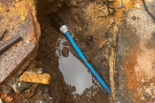 Pub Garden Leak, Farningham